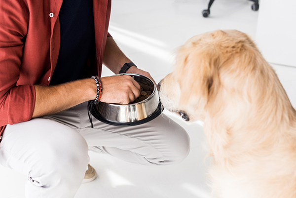 force feeding puppy