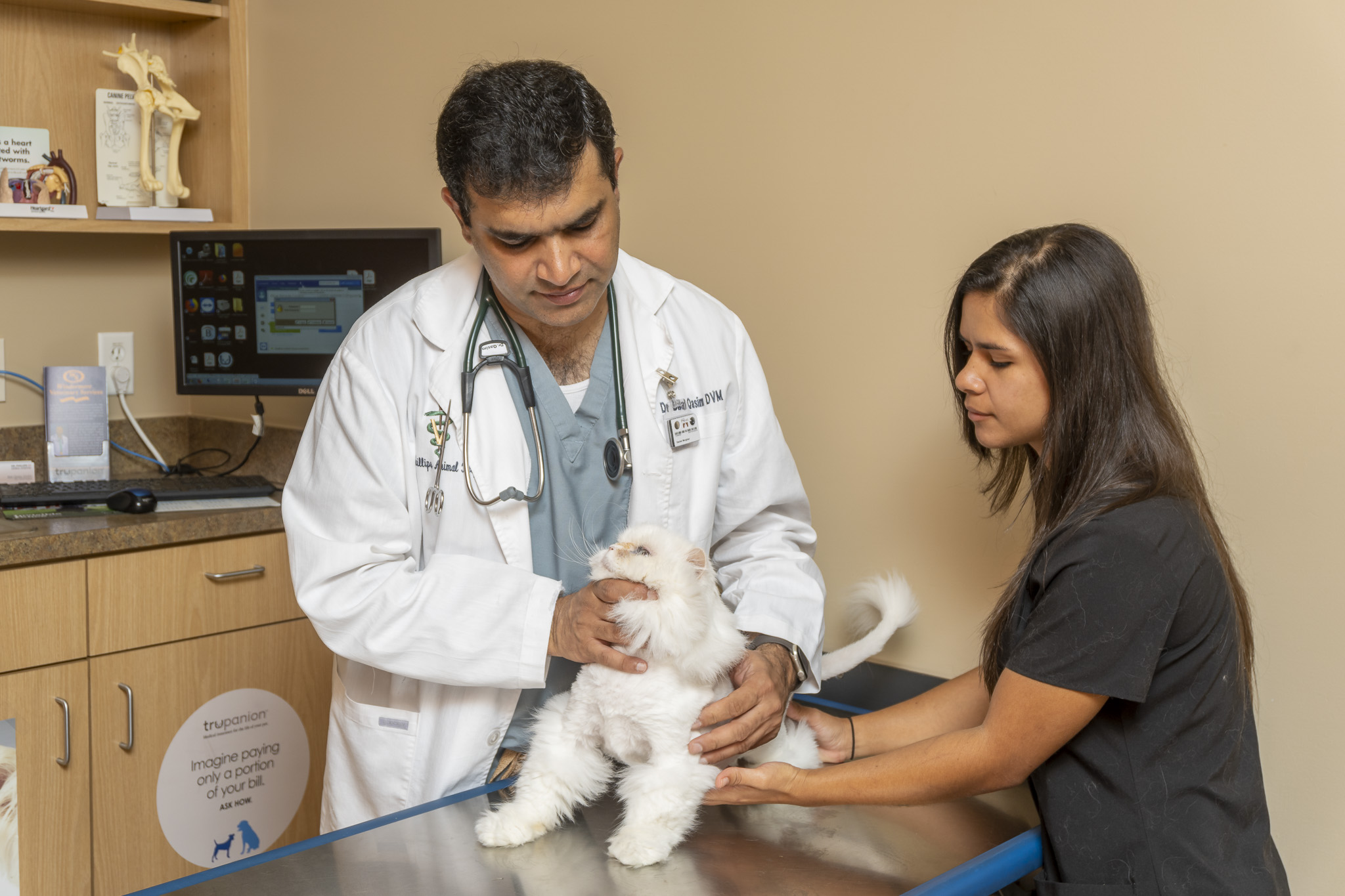 Dr. Qasim and a vet tech working with a cat