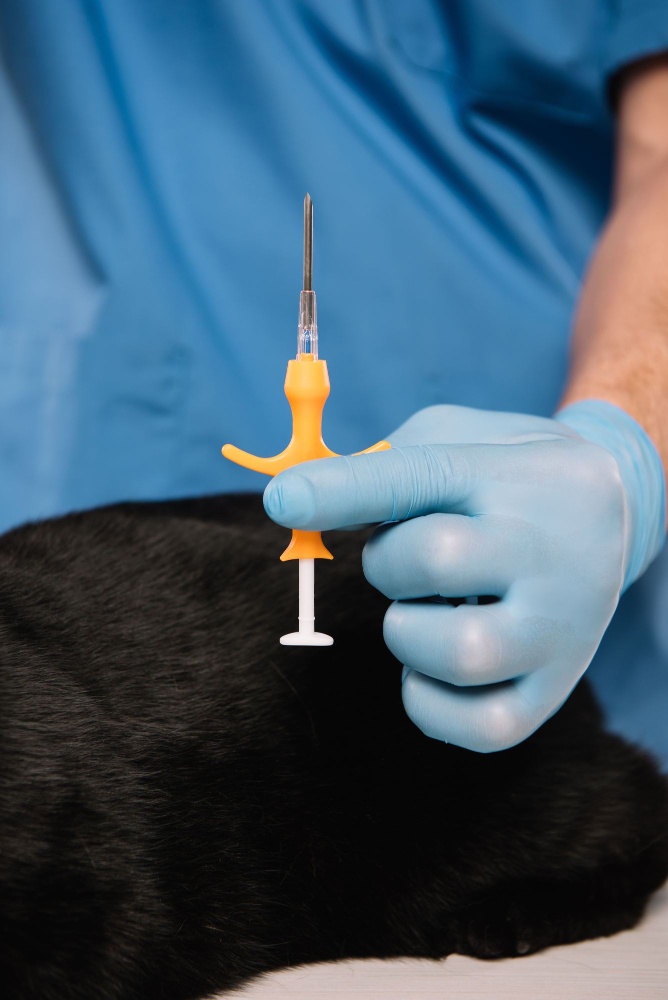 Holding up a microchip syringe