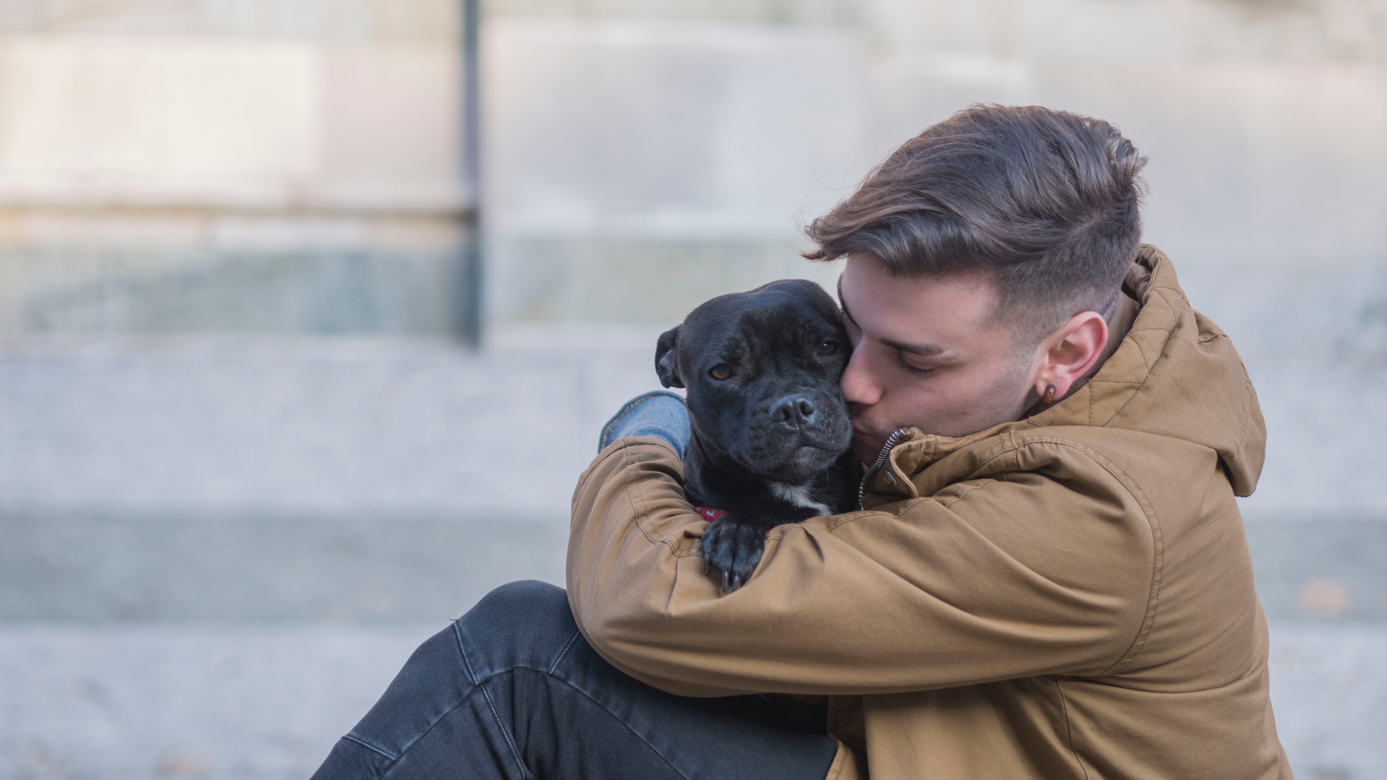 owner hugging their pet