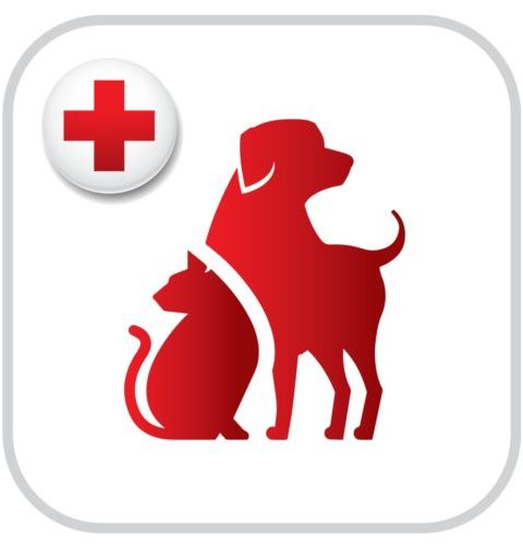 Pet First Aid app logo with red silhouettes of a dog and cat next to a red cross on a white background