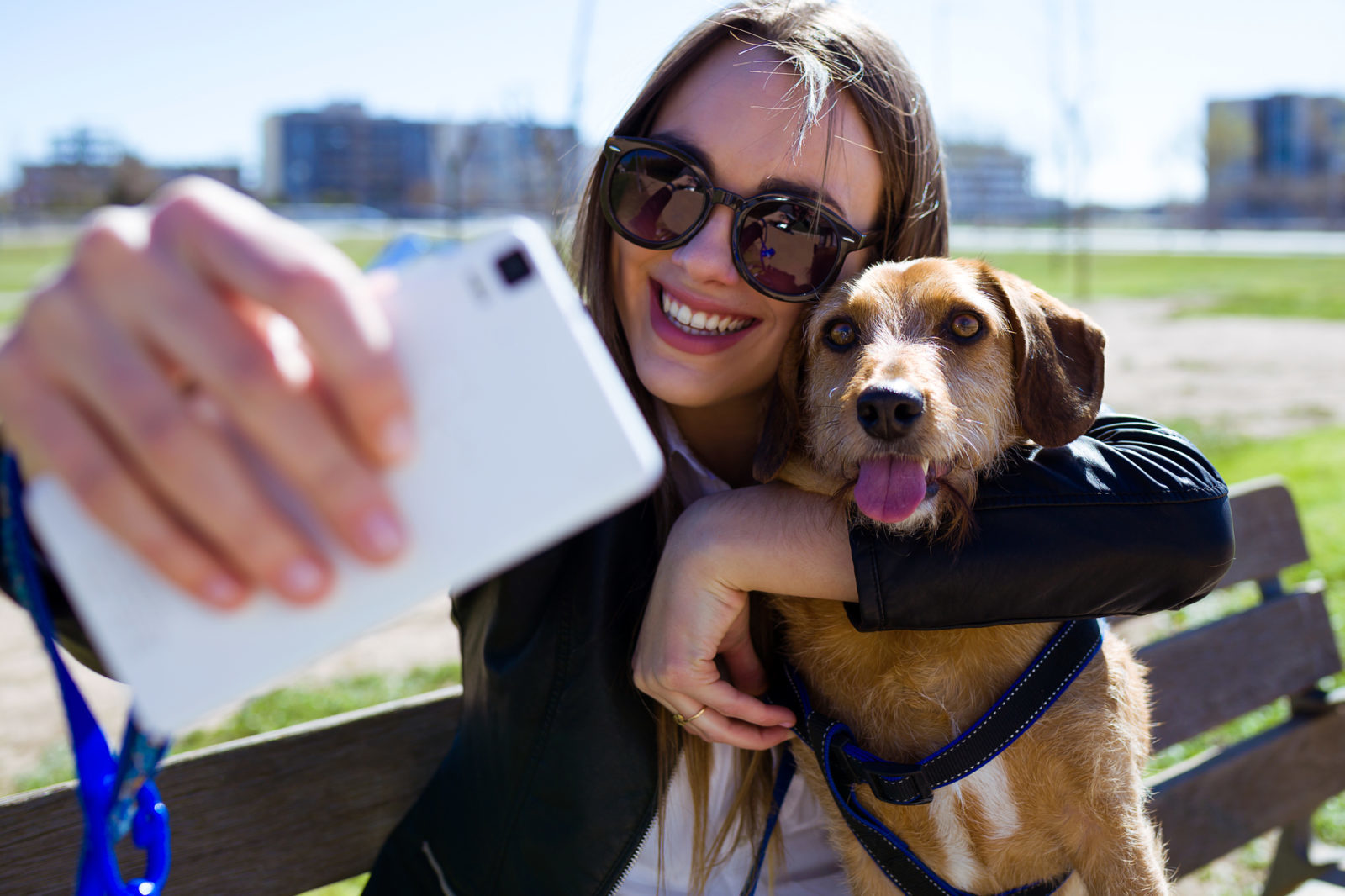 Young woman taking a selfie on her mobile phone with dog
