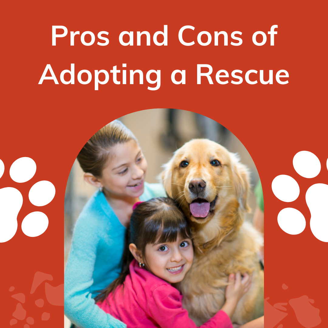 does adopting a dog cost money