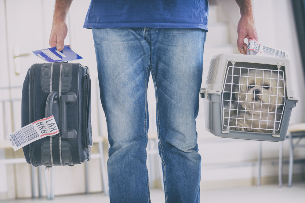 a man carrying a suitcase in one hand and a dog in a carrier in the other at the airport