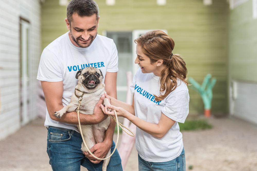 volunteers working at an animal shelter holding a pug dog