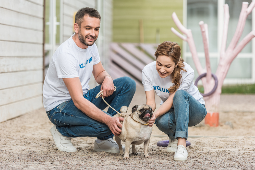 two volunteers at an animal shelter with a pug dog