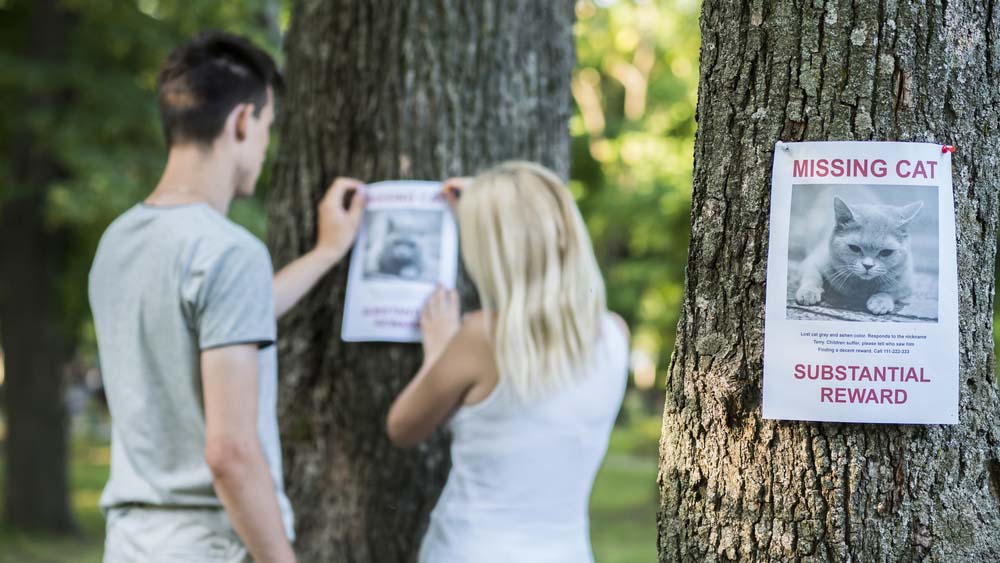 a couple hanging up lost pet signs