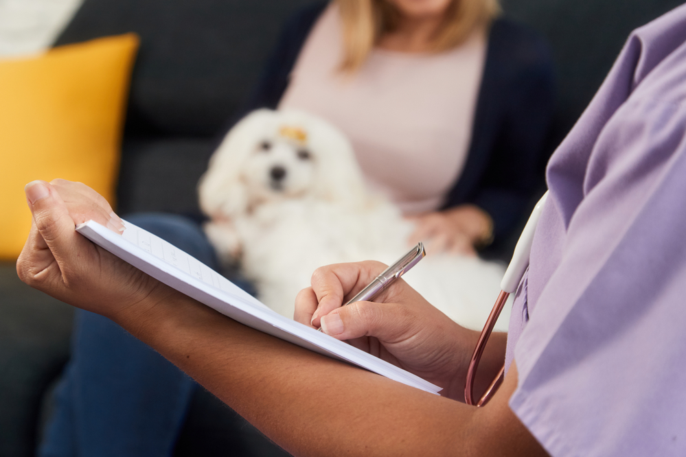 a veterinarian writing on a pet’s medical records in front of a white dog sitting on its owner’s lap