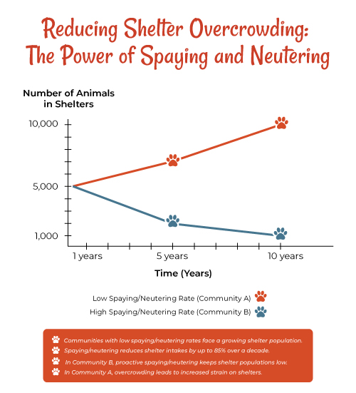 Overcrowded Shelter