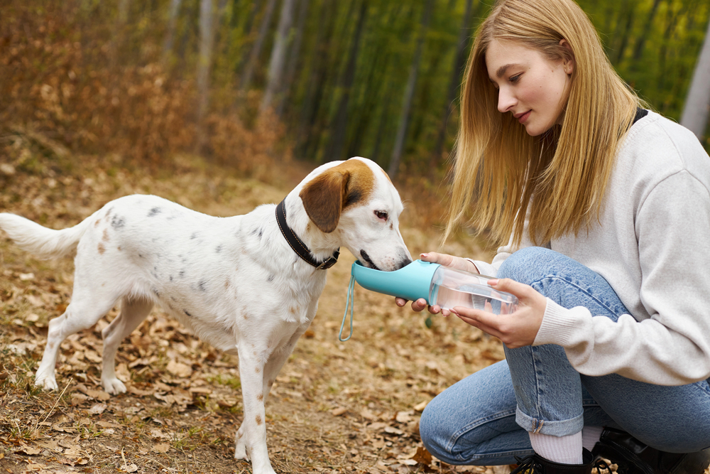 Loving blonde woman hiker letting her loyal dog