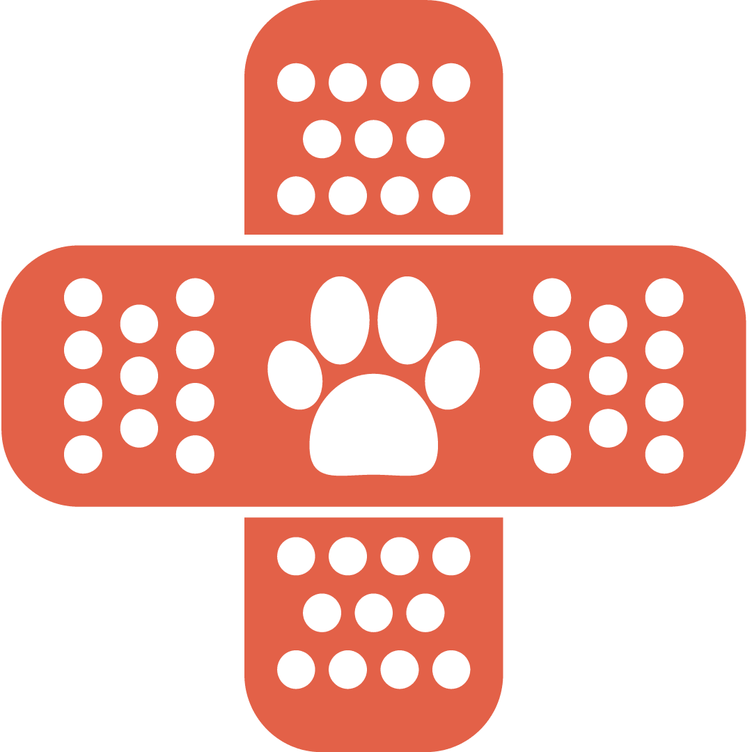 drawing of a bandage in orange