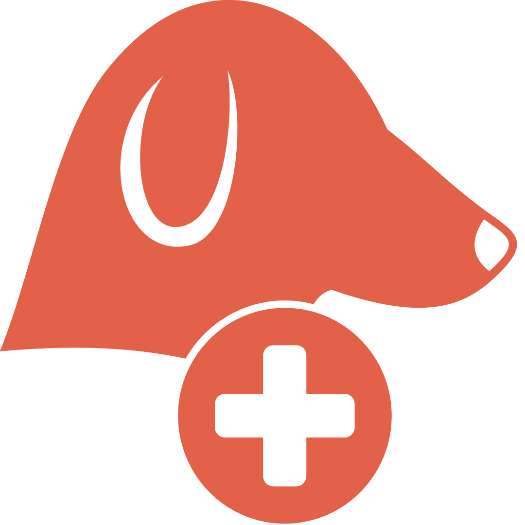 drawing of a dogs head in orange