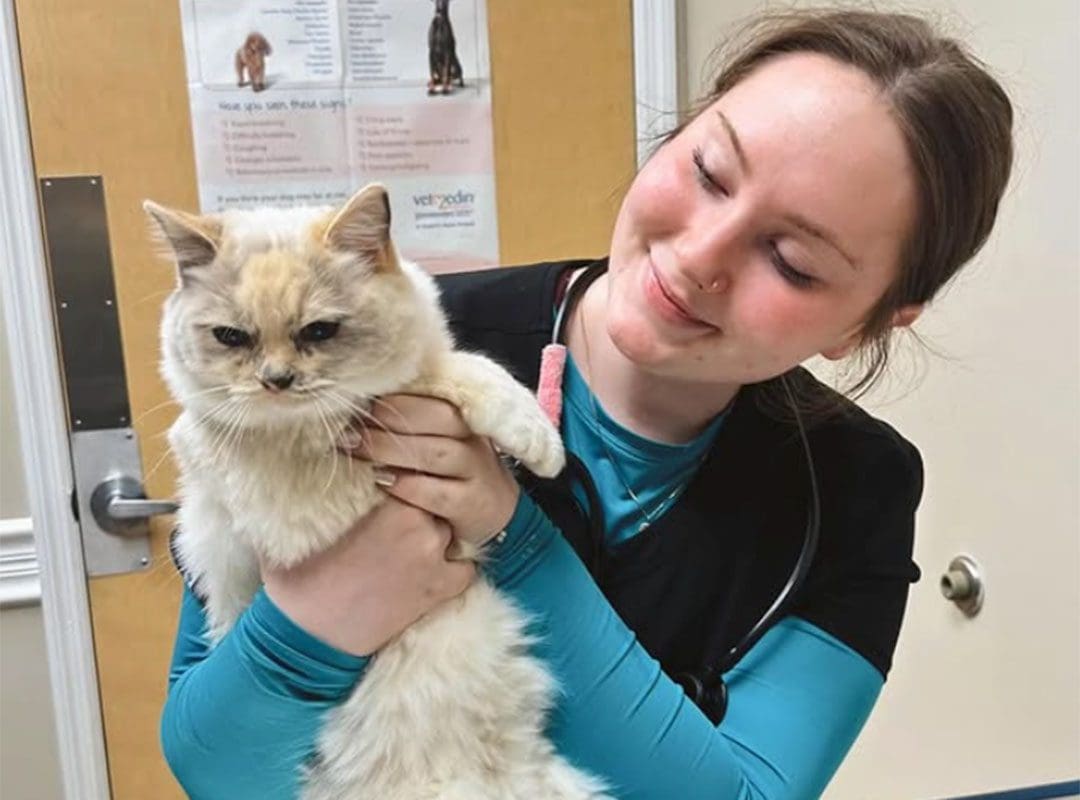 Smiling Vet Tech With Cat