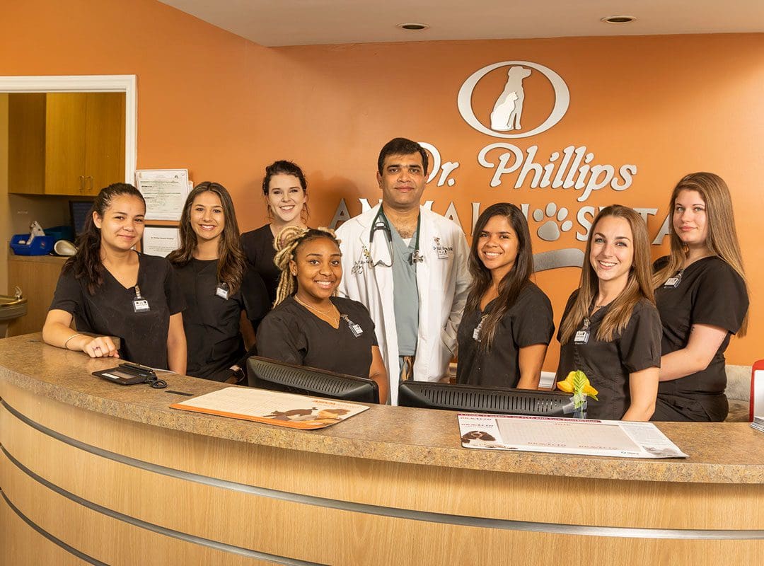the Dr. Phillips Animal Hospital team together behind the front desk
