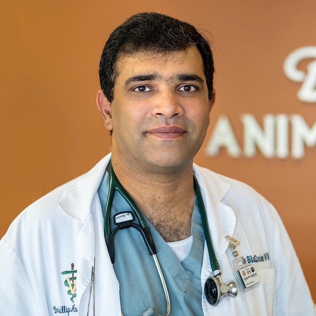 Dr. Qasim wearing his white lab coat and stethoscope